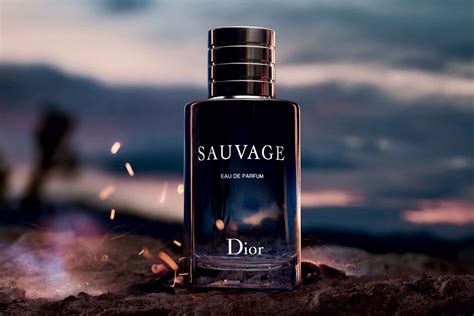 cologne sauvage dior|Dior Sauvage best price.